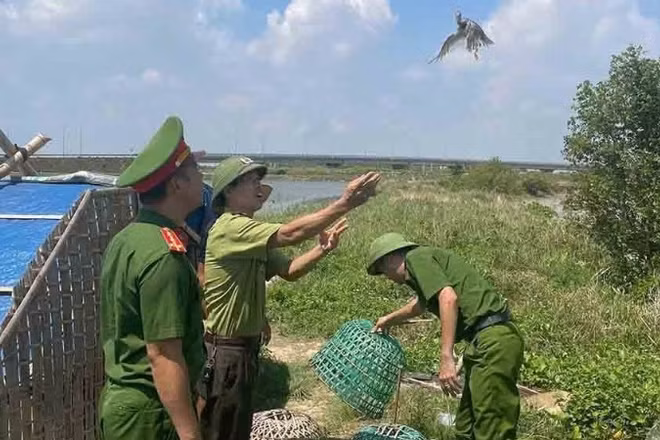 Công an xã Đan Hải, tỉnh Hà Tĩnh, và kiểm lâm thả các loài chim rừng về tự nhiên. (Ảnh: CÔNG AN XÃ ĐAN HẢI)