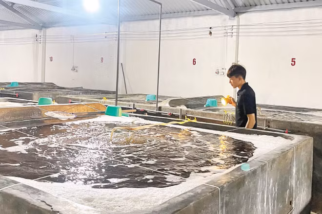 Nếu di dời vị trí mới, các doanh nghiệp sẽ tốn kém rất nhiều kinh phí.