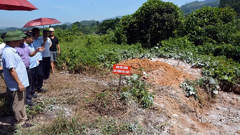 Đoàn công tác của Bộ Nông nghiệp và Môi trường kiểm tra khu vực chôn lấp lợn nhiễm bệnh tại phường Mỹ Lâm, tỉnh Tuyên Quang.