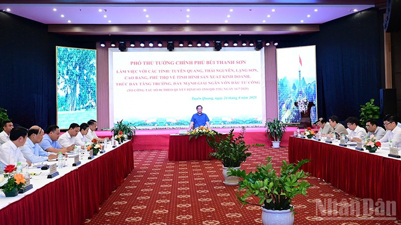 Phó Thủ tướng Bùi Thanh Sơn chủ trì buổi làm việc.