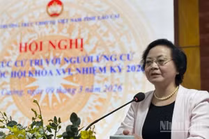 Phó Thủ tướng Phạm Thị Thanh Trà phát biểu tại hội nghị. (Ảnh: THANH SƠN)