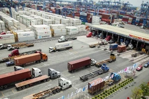 Sàn giao dịch hàng hóa Việt Nam: Từng bước hình thành “trung tâm định giá” cho nông sản và nguyên liệu.