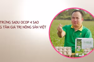Từ “gã dở hơi” đến trứng Sadu OCOP 4 sao nâng tầm giá trị nông sản Việt
