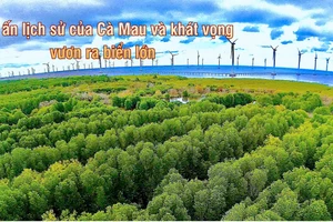 Cánh đồng điện gió ven Biển Đông, khu vực thuộc phường Hiệp Thành, tỉnh Cà Mau.