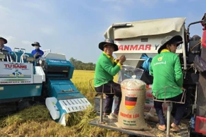 Công nghệ góp phần nâng cao chuỗi giá trị 1 triệu ha lúa phát thải thấp.