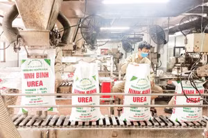 Sản xuất phân đạm Urê tại Công ty Trách nhiệm hữu hạn một thành viên Đạm Ninh Bình (Tập đoàn Hóa chất Việt Nam). 
