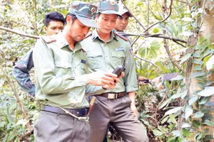 Một chuyến tuần tra rừng của cán bộ, nhân viên Trạm U Bò.