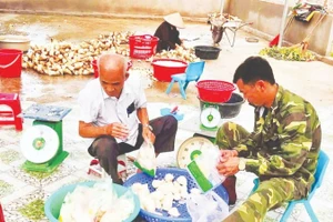 Sản phẩm măng lục trúc lâm sinh của hợp tác xã Ngọc Châu, xã Ngọc Thiện, tỉnh Bắc Ninh giúp người dân thoát nghèo. 