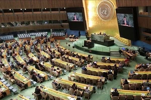 Toàn cảnh phiên họp toàn thể bầu thành viên Hội đồng Nhân quyền Liên hợp quốc nhiệm kỳ 2026-2028. (Ảnh tư liệu: Thanh Tuấn/TTXVN)