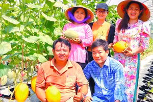Hợp tác xã nông nghiệp Thuận Mỹ (Tây Ninh) ứng dụng công nghệ số vào sản xuất và kinh doanh mang lại hiệu quả kinh tế cao.