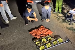 Hai đối tượng cùng số ma túy đá do lực lượng chức năng thu giữ tại hiện trường.