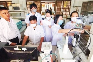 Tiến sĩ Bùi Đình Thạch (ngoài cùng bên trái) trao đổi với nhóm nghiên cứu về tác dụng của cây ngải trắng. (Ảnh: VAST)