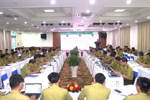 Quang cảnh hội nghị triển khai Nghị định số 146/2026/NĐ-CP của Chính phủ quy định xử phạt vi phạm hành chính trong lĩnh vực lâm nghiệp.