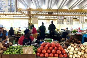Chợ nông sản ở La Habana, Cuba. (Ảnh: Ngọc Duy/TTXVN) 