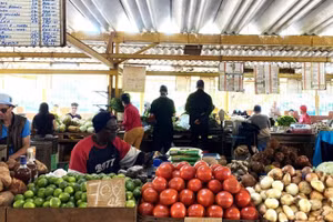 Chợ nông sản ở La Habana, Cuba. (Ảnh: Ngọc Duy/TTXVN) 