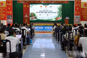 Quang cảnh hội thảo.