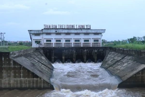 Trạm bơm Triều Dương tỉnh Hưng Yên hoạt động bơm tiêu úng cứu lúa.