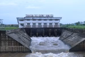 Trạm bơm Triều Dương tỉnh Hưng Yên hoạt động bơm tiêu úng cứu lúa.