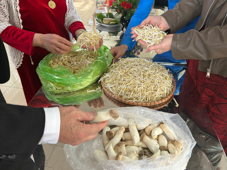 Giá đỗ, nấm… là những sản phẩm sạch được các thành viên câu lạc bộ sản xuất từ nguồn vốn vay hỗ trợ. z7284406739826-450c4f32b0637dd224a351d352109b1c.jpg