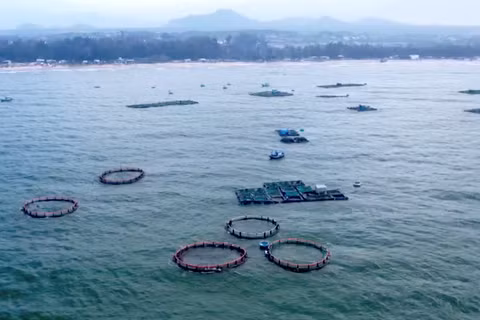 Tại xã Liên Hương đã hình thành nhiều khu vực nuôi biển bằng lồng HDPE.