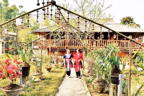 Bản làng du lịch cộng đồng Lao Chải 1, tỉnh Lai Châu. (Ảnh: NGUYỄN ĐĂNG)