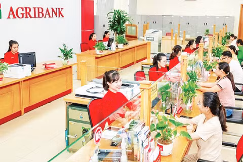 Giao dịch khách hàng tại Agribank chi nhánh Bắc Thanh Hóa.