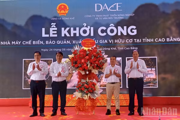 Lãnh đạo tỉnh Cao Bằng tặng hoa chúc mừng Công ty DACE.
