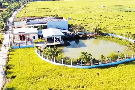 Tuyến đường “sáng-xanh-sạch-đẹp” do Chi bộ ấp 1, xã Tân Phước Tây và nhân dân xây dựng.