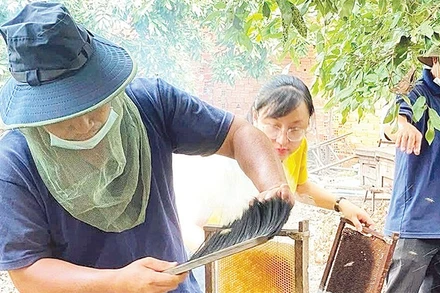 Sản phẩm mật ong của Công ty TNHH Một thành viên Ong mật Bảo An Tây Ninh được công nhận đạt chuẩn OCOP 4 sao. (Ảnh CTV)