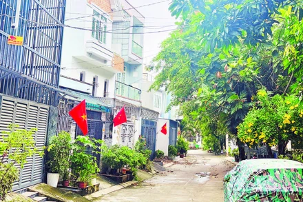 Nhiều khu phố trên địa bàn Thành phố Hồ Chí Minh, người dân đã lắp camera để góp phần bảo đảm an ninh cho khu vực.
