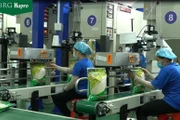 Hapro chủ động tạo nguồn hàng cho hoạt động xuất khẩu nhiều năm qua.