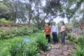 Giới thiệu vườn cây thuốc nam trong khuôn viên Đền Thánh Nguyễn ở xã Tiến Thắng, huyện Gia Viễn (Ninh Bình).