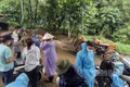 Cơ quan chức năng đưa đàn lợn bị nhiễm bệnh đi tiêu hủy.