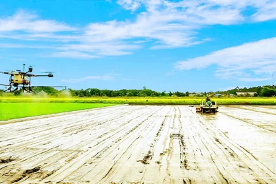 Bà con nông dân thành phố Cần Thơ ứng dụng công nghệ cao vào sản xuất. (Ảnh: nhandan.vn)