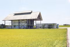 Dự án kho lạnh thông minh đạt tiêu chuẩn châu Âu tại xã Bình Phú đã khánh thành hơn 4 năm vẫn chưa đưa vào khai thác sử dụng.