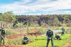 Cán bộ, chiến sĩ Đồn Biên phòng Ia Đal tăng gia sản xuất sau giờ tuần tra, huấn luyện.