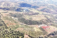 Khu vực trảng lớn Lách Me, xã Trường Xuân đang được rà soát, đề xuất cấp giấy chứng nhận quyền sử dụng đất cho nhiều hộ dân bon Bu N'Đóh.