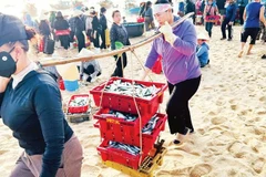 Quản lý trong khai thác và nuôi trồng góp phần nâng cao chất lượng thủy sản.