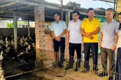 Mô hình kinh doanh tổng hợp tại Hợp tác xã Hoà Phong được tỉnh Hưng Yên đánh giá cao, coi là hình mẫu để các địa phương học tập, nhân rộng.