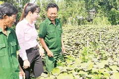 Hội Cựu chiến binh xã Cần Giuộc và cán bộ Ngân hàng Chính sách xã hội tham quan mô hình trồng rau của ông Nguyễn Tấn Măng.