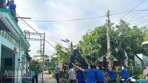 Chính quyền địa phương xã Tân Khánh Trung cùng bà con dọn dẹp, khắc phục hậu quả sau dông lốc, mưa lớn.