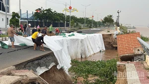 Khắc phục tạm thời vụ sạt lở tại công trình kè Thường Thới Tiền.