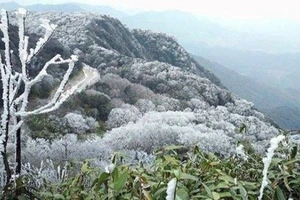 Từ ngày 21/1, không khí lạnh tăng cường mạnh, khu vực Bắc Bộ và Bắc Trung Bộ chuyển rét. (Ảnh: Trung tâm khí tượng thủy văn quốc gia).