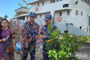 Những cây quất đào mang mùa Xuân đến với các cán bộ chiến sĩ và nhân dân hai đặc khu Cồn Cỏ và Lý Sơn.