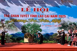 Tái hiện lễ cúng cây chè shan tuyết cổ. (Ảnh: THANH SƠN)