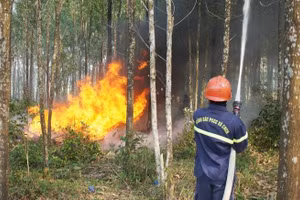 Độ ẩm giảm sâu, có thời điểm dưới 30%, khiến nguy cơ cháy rừng tăng cao, nhiều địa phương được cảnh báo ở cấp V - mức cực kỳ nguy hiểm. (Ảnh: Chinhphu.vn)