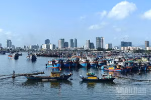 Đến chiều 3/7, hơn 56.000 tàu thuyền với trên 249.000 lao động đã được thông báo, hướng dẫn tránh bão; nhiều địa phương đã ban hành lệnh cấm biển, chủ động bảo đảm an toàn về người và tài sản.
