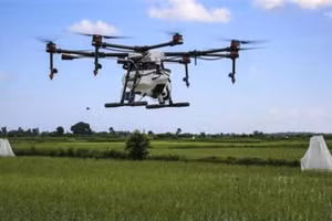 Việc ứng dụng drone (máy bay không người lái) trong nông nghiệp đang mang lại hiệu quả rõ rệt về năng suất, chi phí và an toàn lao động.