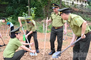 Trồng cây hưởng ứng Ngày Thế giới chống sa mạc hóa và hạn hán năm 2026.
