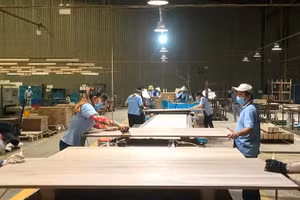 Chế biến gỗ xuất khẩu tại Công ty cổ phần gỗ Minh Dương (Bình Dương). (Ảnh: Vũ Hoàng)
